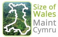 Size of Wales logo